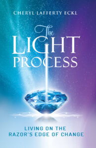 The LIGHT Process book cover