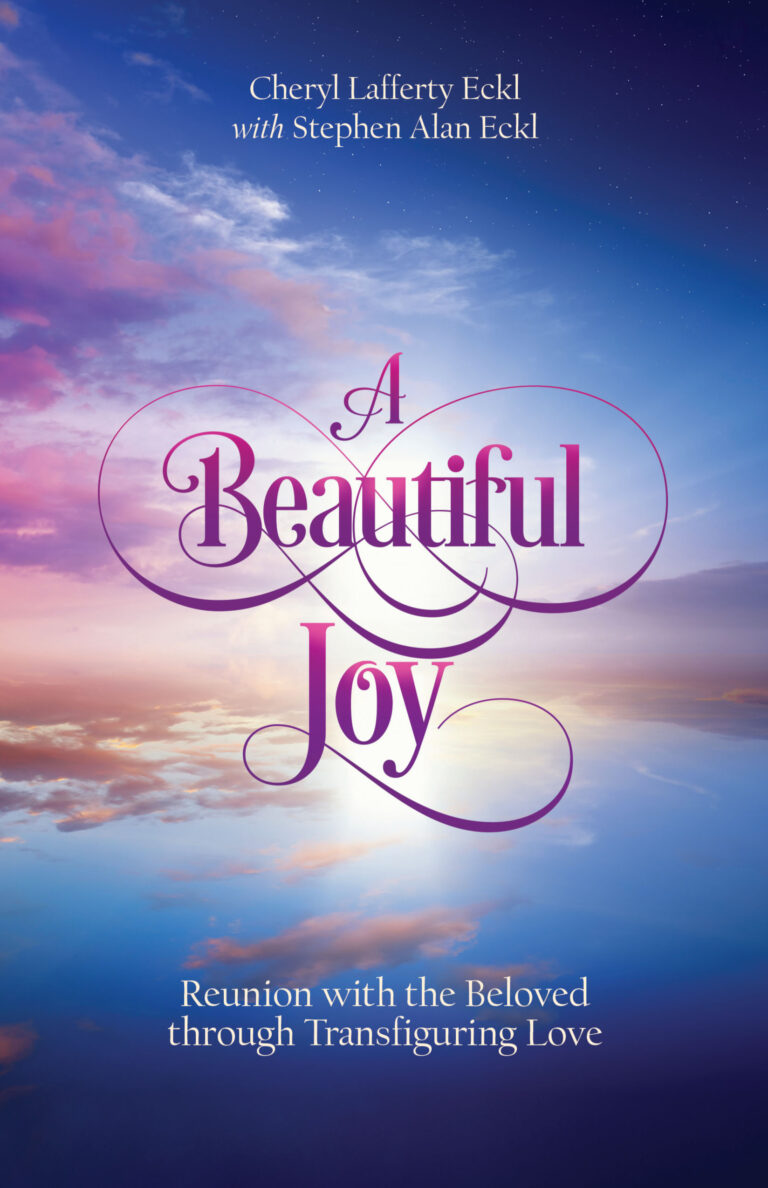 A Beautiful Joy book cover