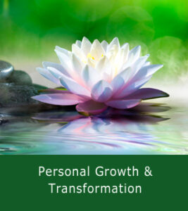Personal Growth & Transformation book genre button