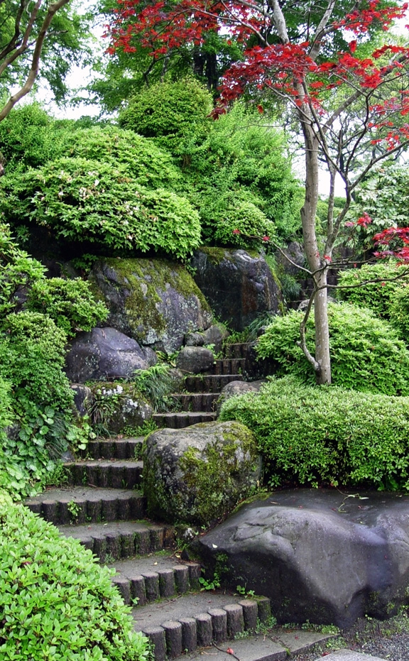 stairs going through a garden