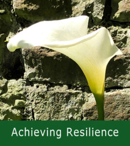 Achieving Resilience