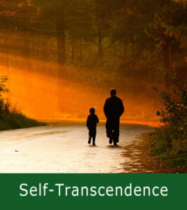 Self-Transcendence with Your Wise Inner Counselor Become More of Who You Really Are